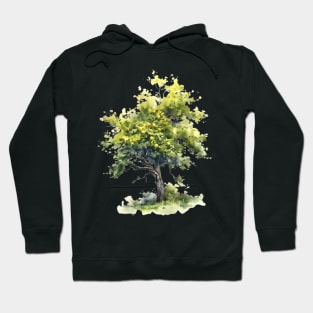 Simple Watercolor Evergreen Tree Hoodie